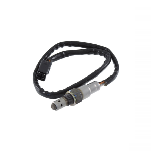 Oxygen sensor RMS