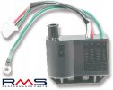 Vžigalna tuljava RMS 246010030