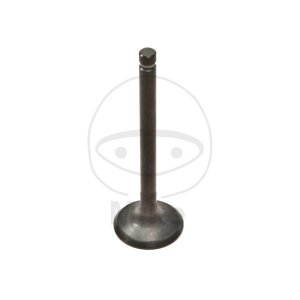 Sesalni ventil (inlet valve) JMT