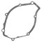 Ignition cover gasket WINDEROSA