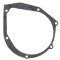 Ignition cover gasket WINDEROSA